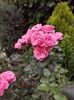 IMG-20220701-WA0102