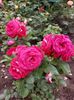 IMG-20220701-WA0107