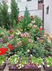 IMG-20220701-WA0111