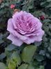 IMG-20220701-WA0114