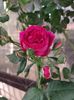 IMG-20220701-WA0119
