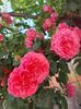 IMG-20220701-WA0120