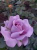 IMG-20220701-WA0123