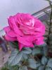 IMG-20220701-WA0126