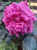 IMG-20220701-WA0128