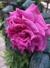 IMG-20220701-WA0129