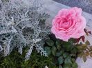 IMG-20220701-WA0135