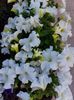 IMG-20220701-WA0142