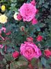 IMG-20220701-WA0143