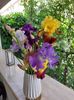 IMG-20220701-WA0145