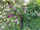 IMG-20220701-WA0146