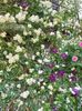 IMG-20220701-WA0147