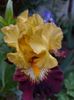 IMG-20220701-WA0151