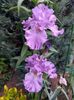 IMG-20220701-WA0158