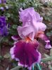 IMG-20220701-WA0179