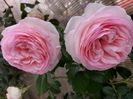 IMG-20220701-WA0172