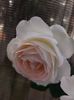 IMG-20220701-WA0173