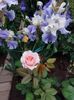 IMG-20220701-WA0186
