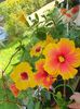 received_399894142157698