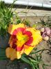 received_601322051313889