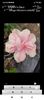 Screenshot_2022-06-29-15-02-41-219_com.facebook.orca