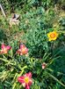 IMG20220705083405