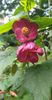 received_766898464476597