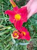 IMG20220706121115