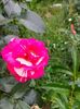 IMG20220706120922