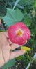 received_581991116645958