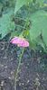 received_800692131308473