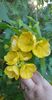 received_448863090060539