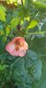 received_762079705139389
