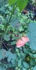 received_330656132607863
