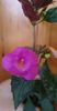 received_1080840592834487