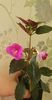 received_475352380978469