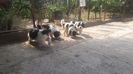IMG-20220711-WA0013