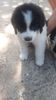 IMG-20220711-WA0006