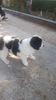 IMG-20220711-WA0004
