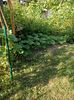 Img. 2022.07.11