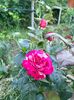 IMG20220710201302