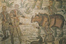 Piazza Armerina. Vila romană. Capturarea unui rinocer în delta ‎Nilului