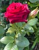 AF6A96A5-739D-4281-8994-47C092C47BBD