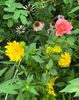 9DAFBA35-8916-49E8-94E7-0791342C541A