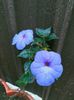 IMG20220716100607