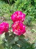 IMG20220713110425
