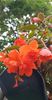 received_364205232524137