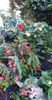 received_1760241944368017