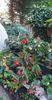 received_1064099000871533