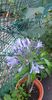received_1096715907913994